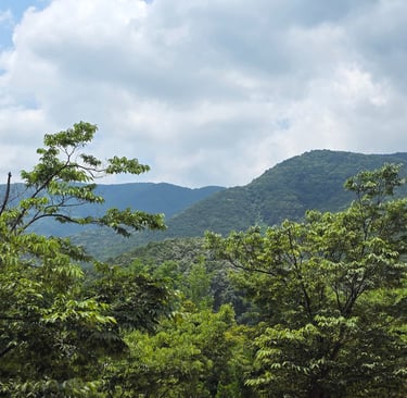 Gyeongju mountain view from the train station