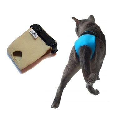 chat pipi partout 