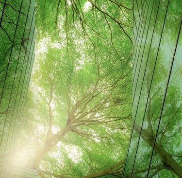 a tree in the middle of a forest surrounded by glass windows