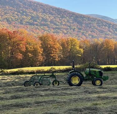 Haley Farm, Mount Greylock State Reservation