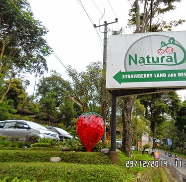 natural resto and strawberry