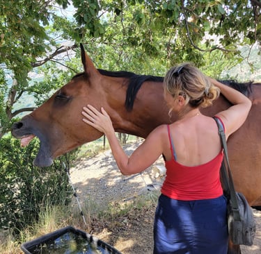a woman is caressing a horse in the field. The horse is yawning and totally relaxed