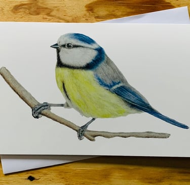 Blue tit