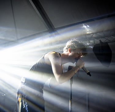 Mehringer Concert Image by Vass Gergo