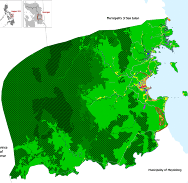 Urban Planning - Borongan CLUP