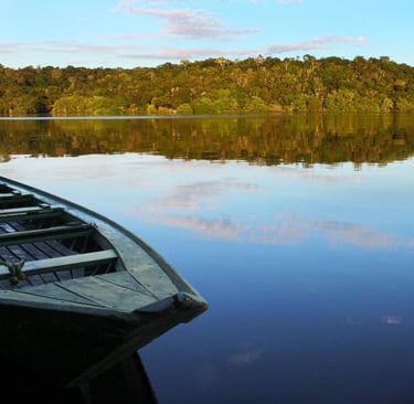Parque Nacional do Jaú, Brasil