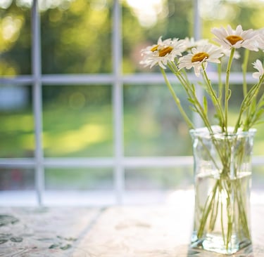 Spring Cleaning Windows