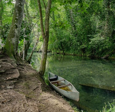 Natura nei dintorni di San Ignacio in Belize