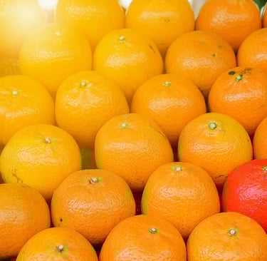 Alimentos saludables,sostenibles,nutraceuticos,eticos,personalizados,diferentes,innovación