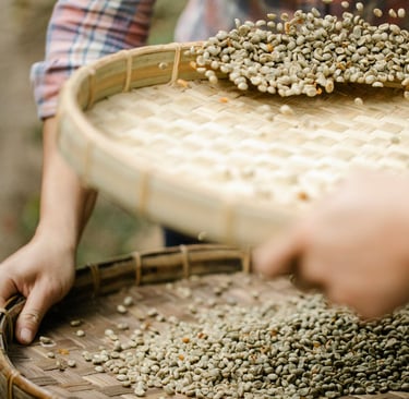 Photo by Michael Burrows: https://www.pexels.com/photo/crop-farmers-with-bamboo-trays-sorting-dry-co