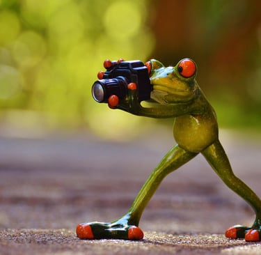 How to Build a Daily Photography Habit That Sparks Creativity: A Complete Guide for Every Photograph