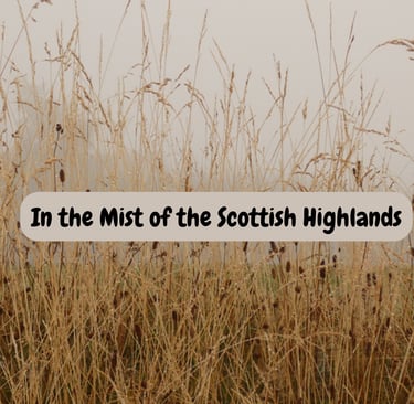 a field with tall grass and a sign that says in the mist