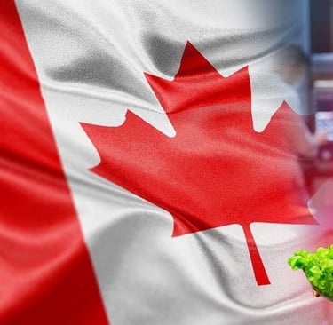 Empleos de temporada en Canadá para mexicanos