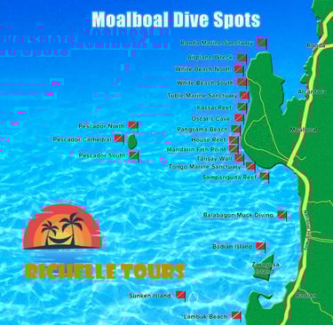 Map of Moalboal Dive Spots along th coastline from Ronda, Alcantara, Moalboal and Badian