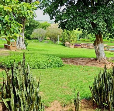area verde e espaço de jogos