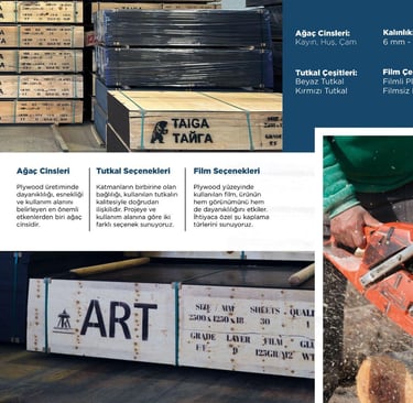 Kaliteli Plywood markaları Nelerdir? Plywood Fiyatı