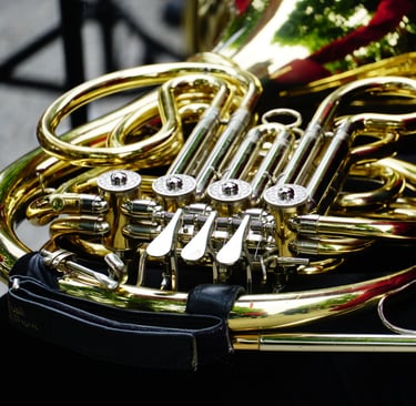 un cor dans son étui rouge