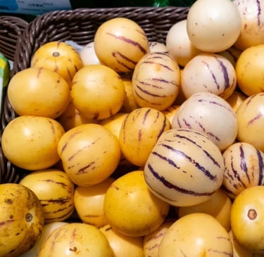 Solanum Muricatum Ripening Room