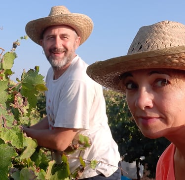 cantina di marsala Alberia