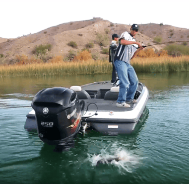 fishing guides lake havasu city az