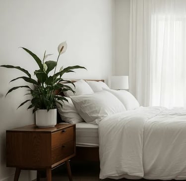 Dormitorio decorado con plantas purificadoras de aire como la Sansevieria y el Lirio de la Paz
