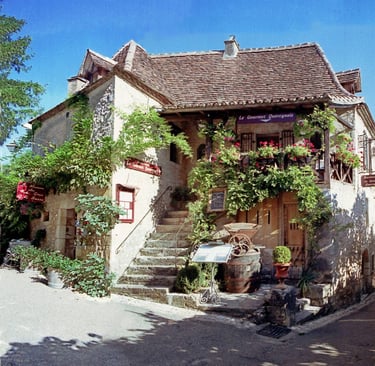 Restaurant cuisine traditionnelle et de terroir Le Musée du Vin 