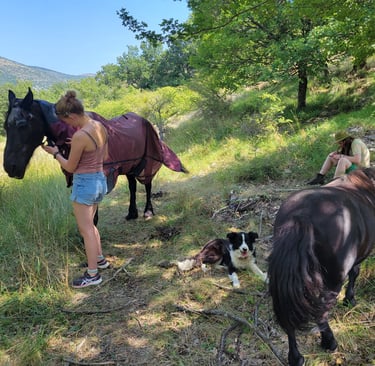 two people in a mounain landscape are hanging around with relaxed horses. One girl is drawing