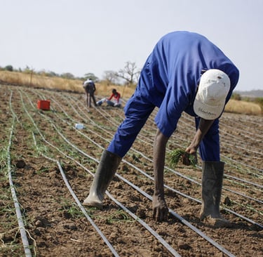 a man in a blue shirt is bending over a fence