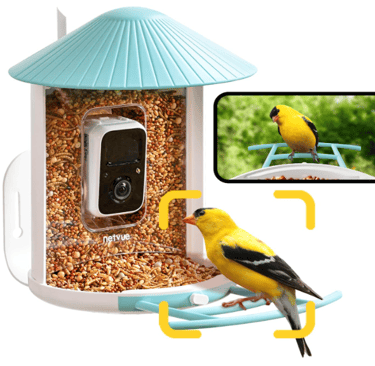 AI Smart Bird Feeder with Camera