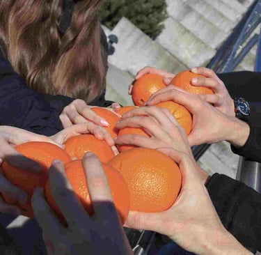 rankos laiko apelsinus