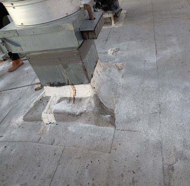 Hood cleaning grease carefully scrapped and hand scrubbed. Granules and oxyclean for the rescue.