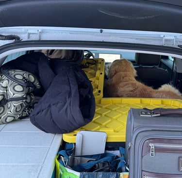 Alfie ready for day 2