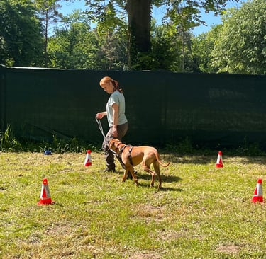 Frau mit Hund beim Gruppentraining bei RIKA Hundetraining in Wiesental