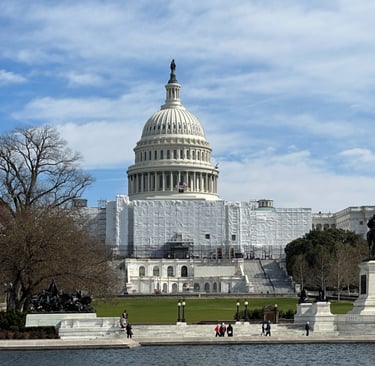 The United States with a lot of scaffolding on it