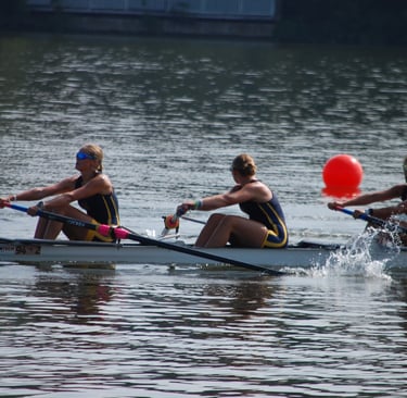 Maija stroking the 4- to silver