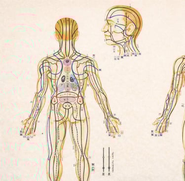 mappa meridiani shiatsu masunaga