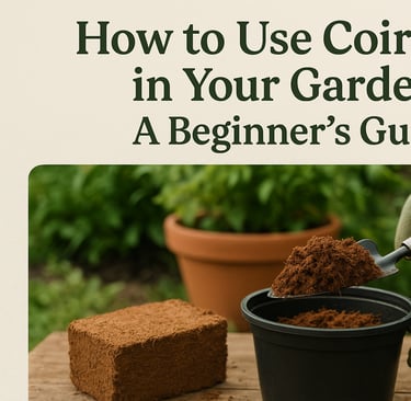 How to Use Coir Peat in Your Garden: A Beginner’s Guide
