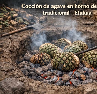  Hoyo de tierra con piedras calientes y piñas de agave siendo colocadas para su cocción lenta.