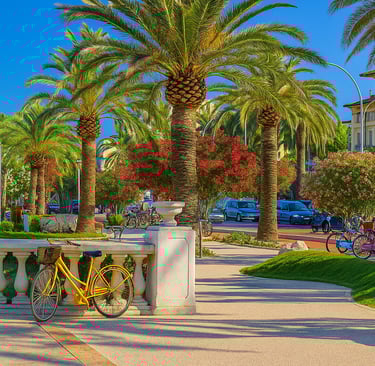 San Benedetto spiagge animate costa est Marche