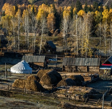 terre agricole avec habitation légère
