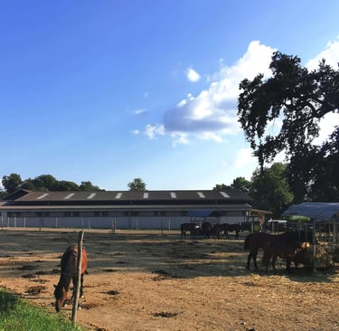 poney club Présinge