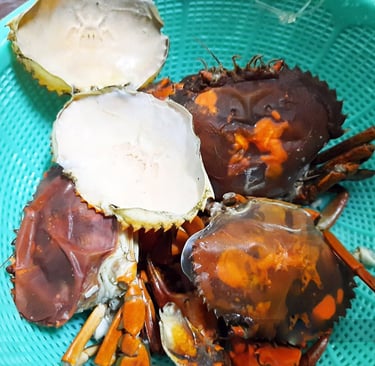 double skinned crabs