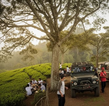 Aktivitas offroad Pangalengan, jeep Land Rover parkir di pinggir kebun teh