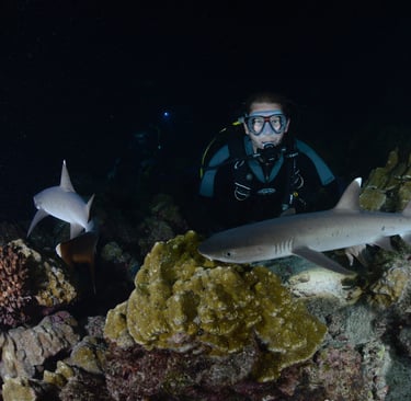 night dive at cocos island, Costa ric