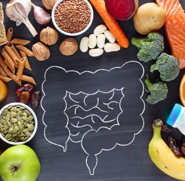 blackboard with a drawing of intestines with a variety of fruits, grains, and legumes surrounding
