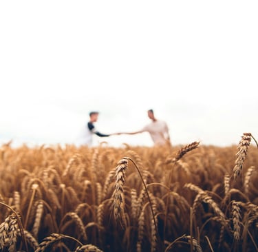 a farmer shaking hands with someone in a wheat fields