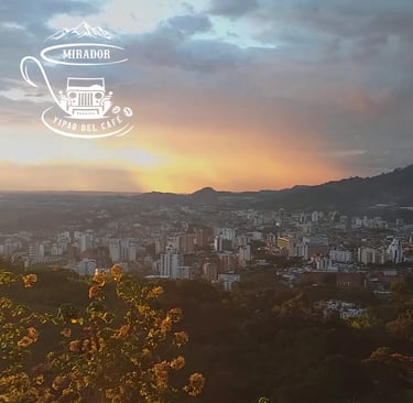 que hacer en pereira