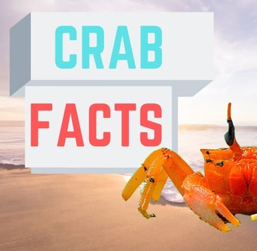 crabs