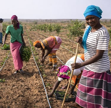 a group of people working in a field