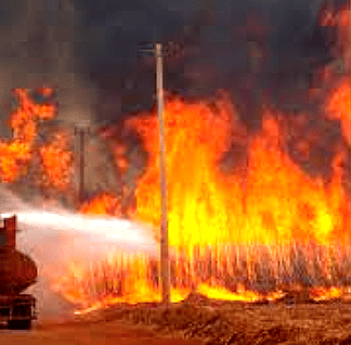Massive wildfires in the Amazon region, 2024